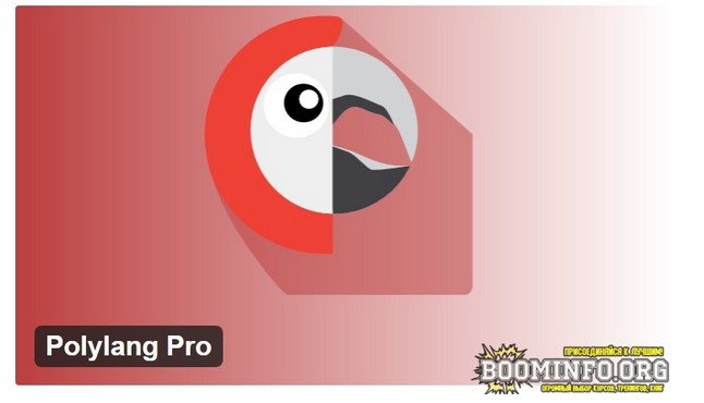 [polylang] Polylang Pro v3.1.1 - плагин перевода W_0.jpg